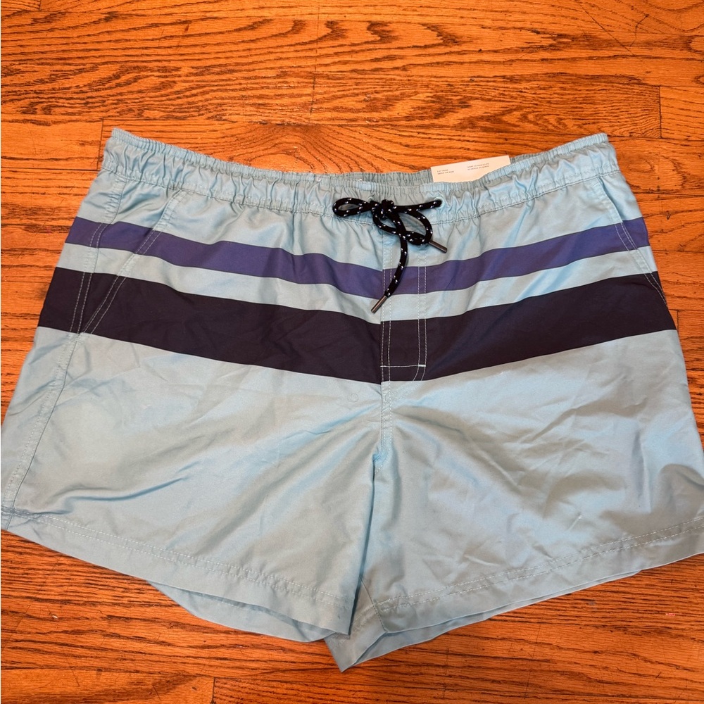 American Eagle Outfitters Light Blue and Navy Swim Trunks